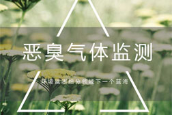 化工企業(yè)園區(qū)常見的惡臭氣體在線監(jiān)測(cè)應(yīng)該如何做？