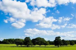 夏季臭氧污染防治攻堅(jiān)行至中場(chǎng) 95個(gè)城市治理成效如何