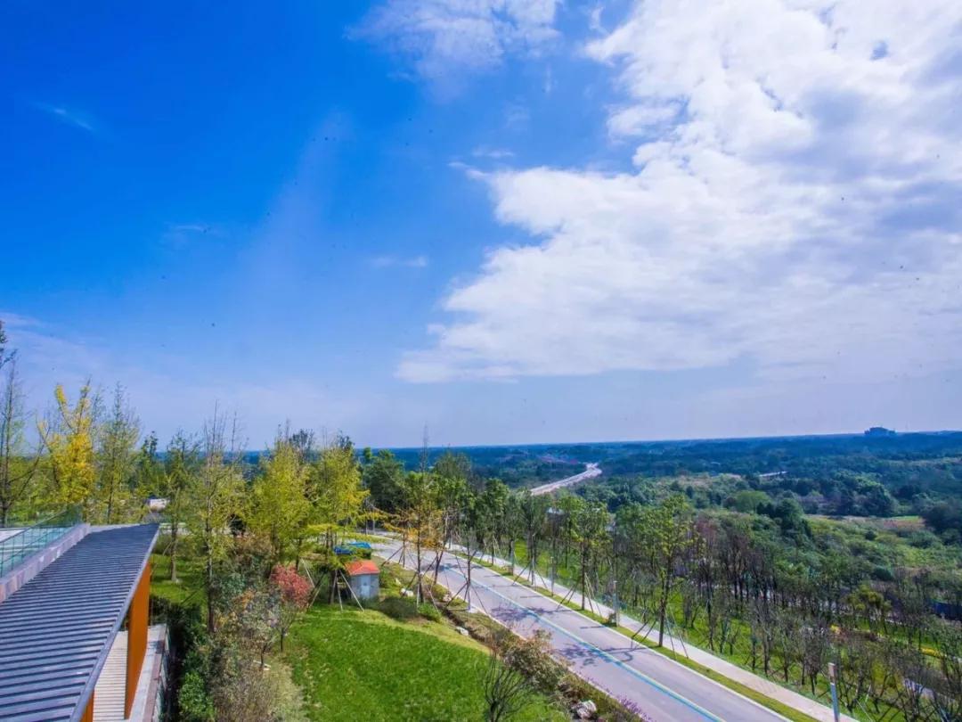 打好打贏藍(lán)天保衛(wèi)戰(zhàn)，臭氧污染治理應(yīng)該如何推進(jìn)？